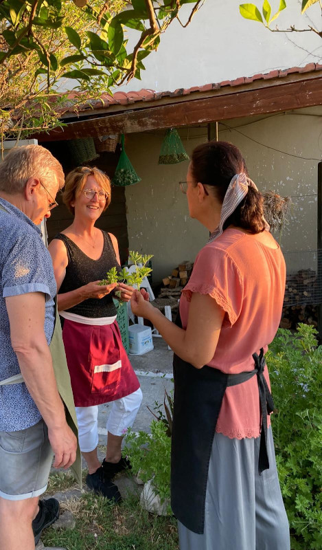Tijdens Griekse kook workshop met een kruidentoer door de tuin