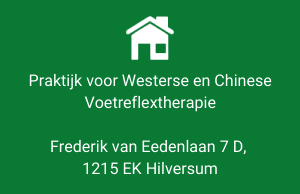 Frederik van Eedenlaan 7 D, 1215 EK Hilversum