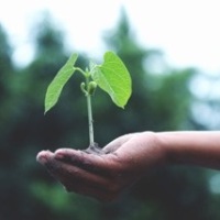 Groen is een natuurlijke en positieve kleur met associaties als rustgevend, balans, harmonie, tevredenheid, evenwicht, optimisme, vernieuwing, vertrouwen, veiligheid en voorspoed. 